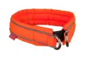 Safe Collar