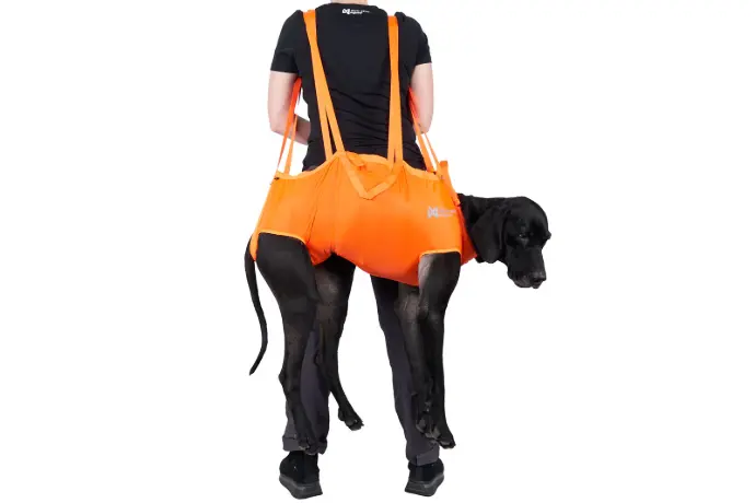 Dog rescue sling