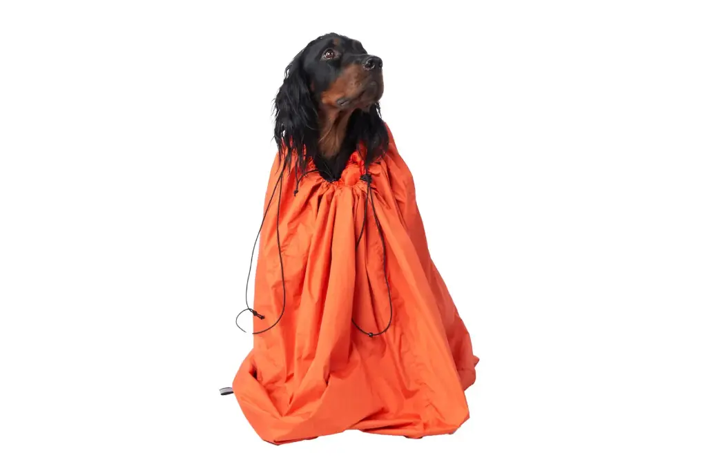 Protector bivvy bag (S)