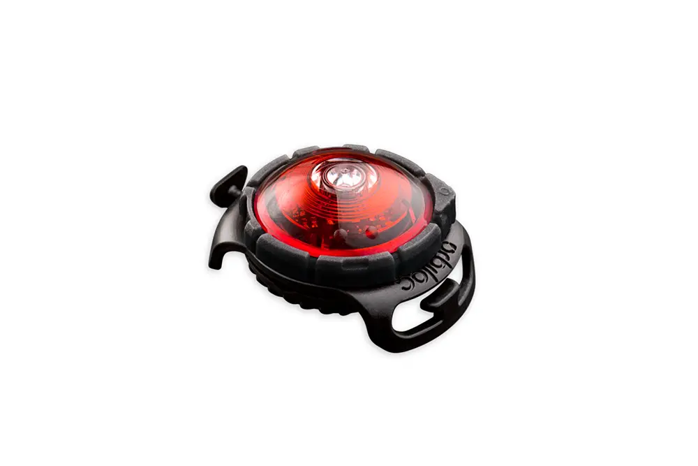 Orbiloc Dog Dual - Safety Dog Light (Red (signal color))