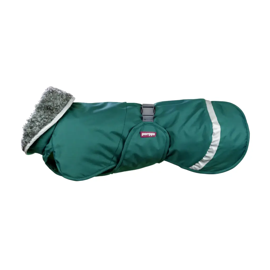 PerusPomppa (Forest, 25)