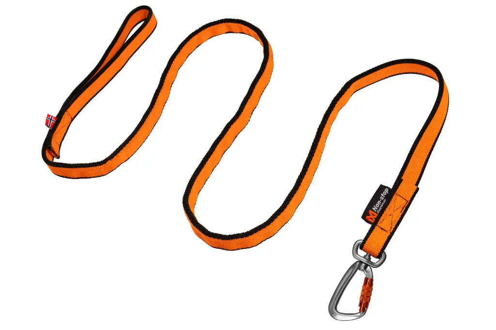 Bungee leash (2.0m/23mm, Zwart/oranje)