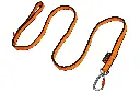 Bungee leash