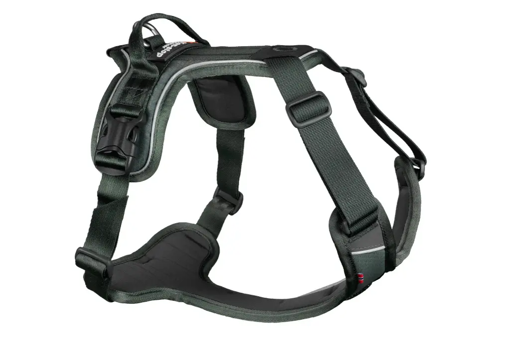 Ramble harness (purple, S)