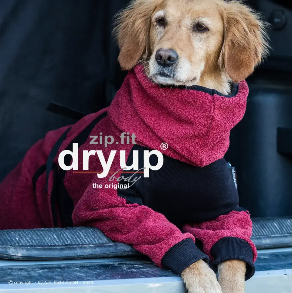 Dryup Body zip.fit (XS | Back length: ≤ 48 cm, Bordeaux)