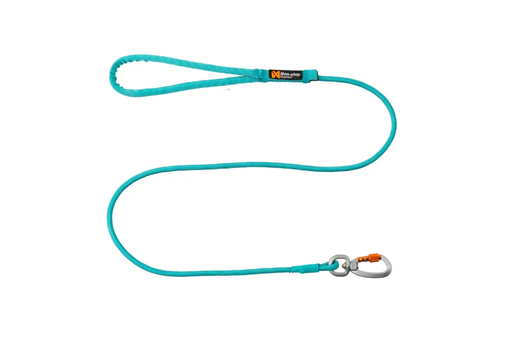 Trekking rope leash (1.2m/6mm, Teal)