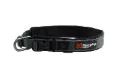 Roam Collar