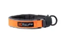 Protector collar