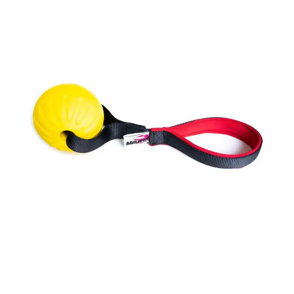[C-SFLS-91-M07EVA] Sunshine Float Short (M, Yellow)