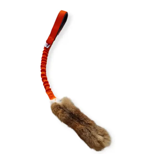Rabbitly