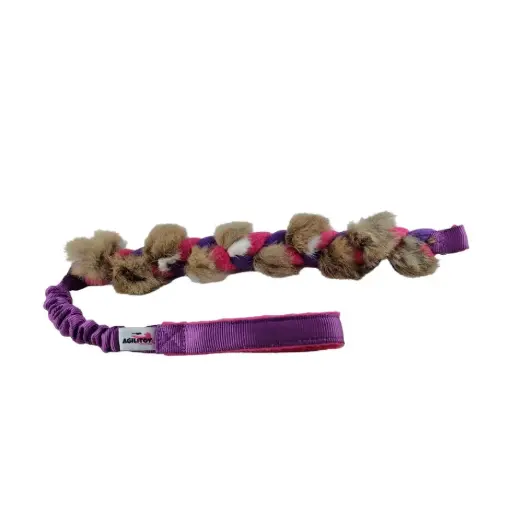 RaBraidy