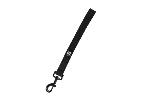 Security strap wd