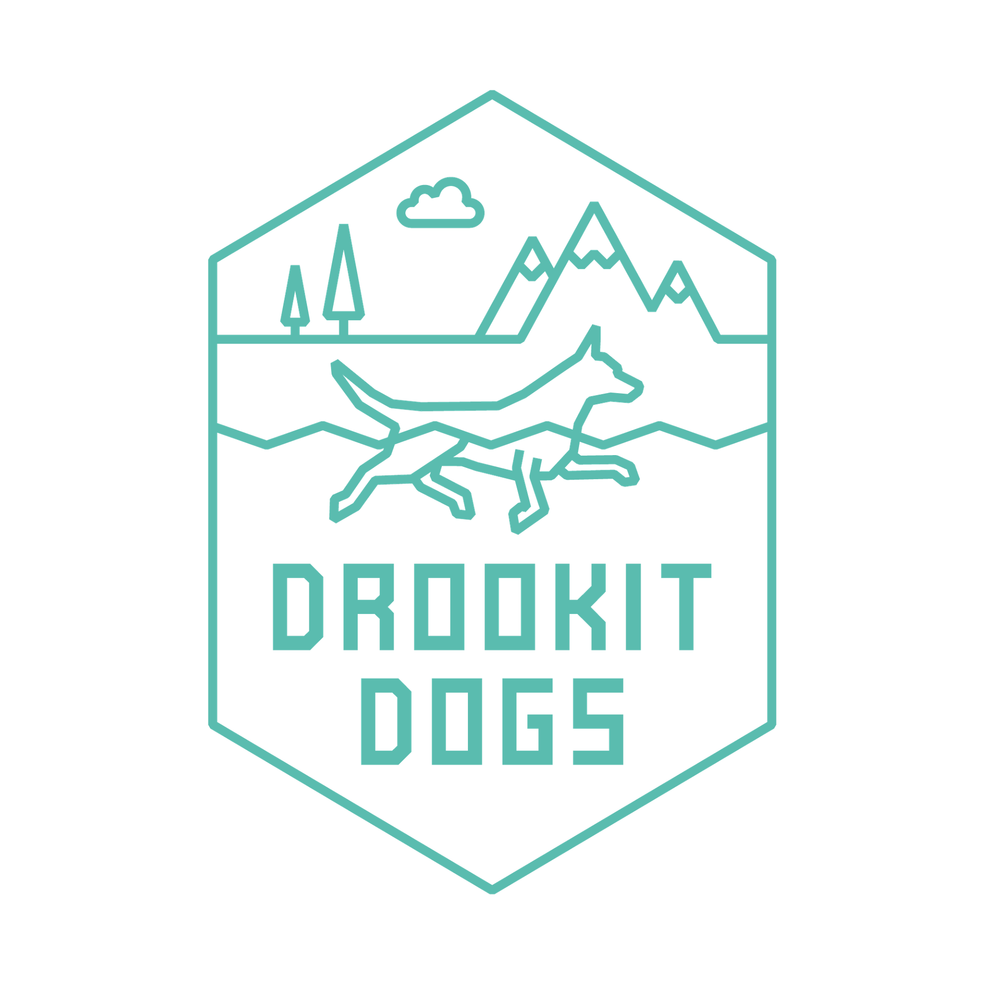 Drookit Dogs